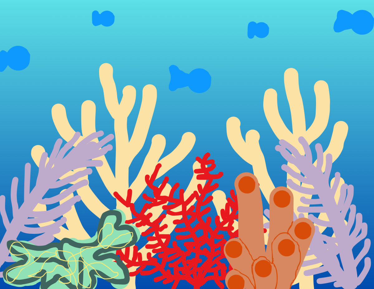 The Great Barrier Reef is home to over 9,000 species.