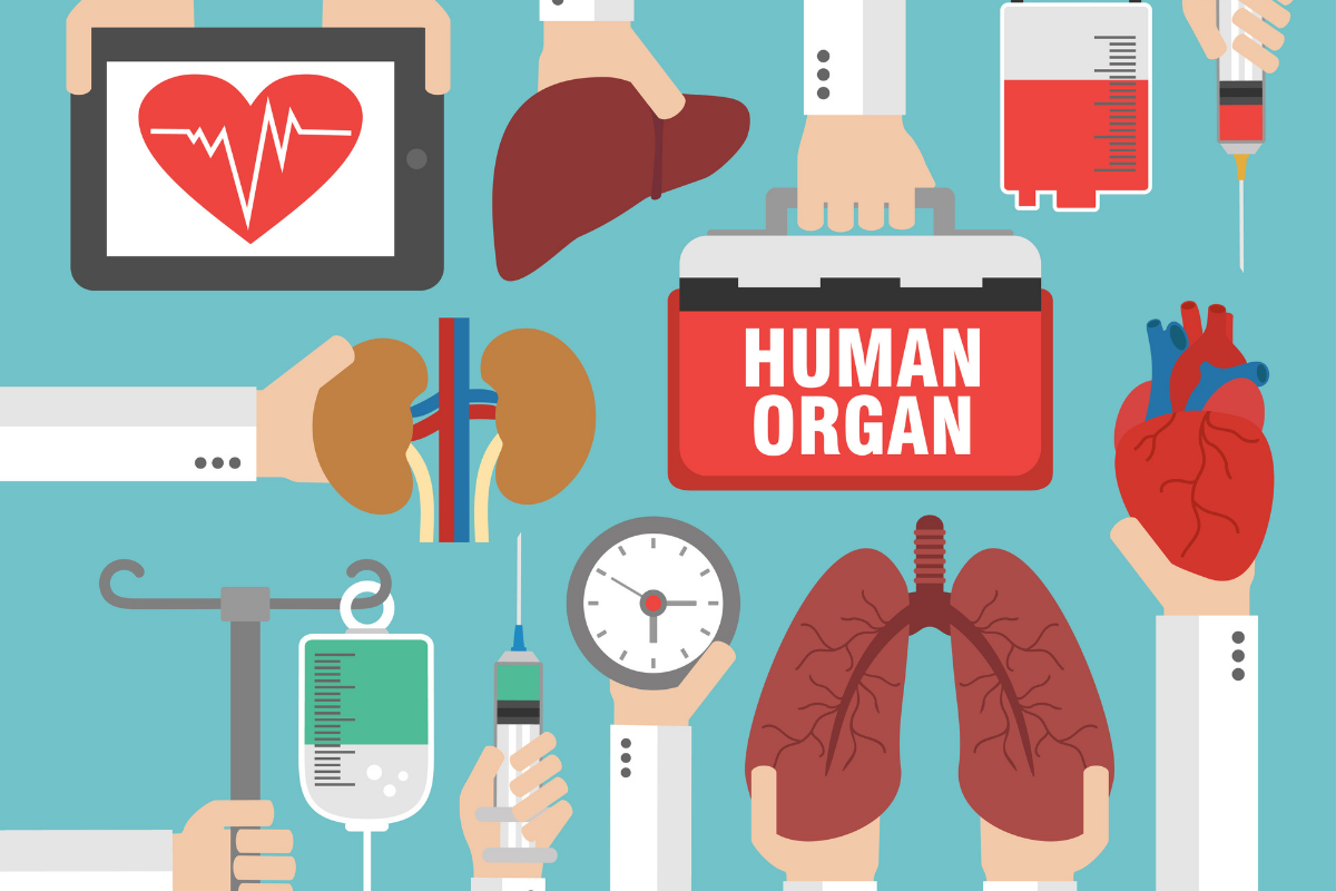 The History of Organ Transplants